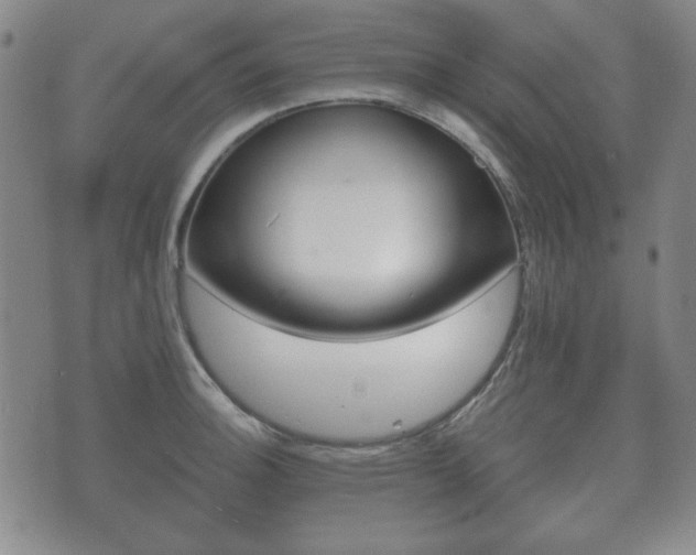 X0000073721140200608031009