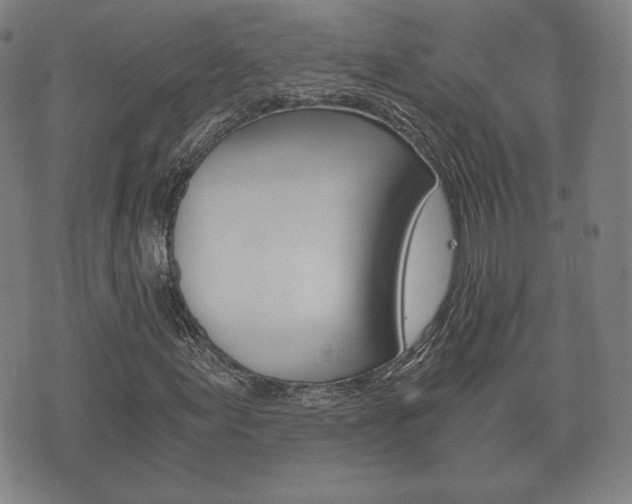 X0000073721155200608031008