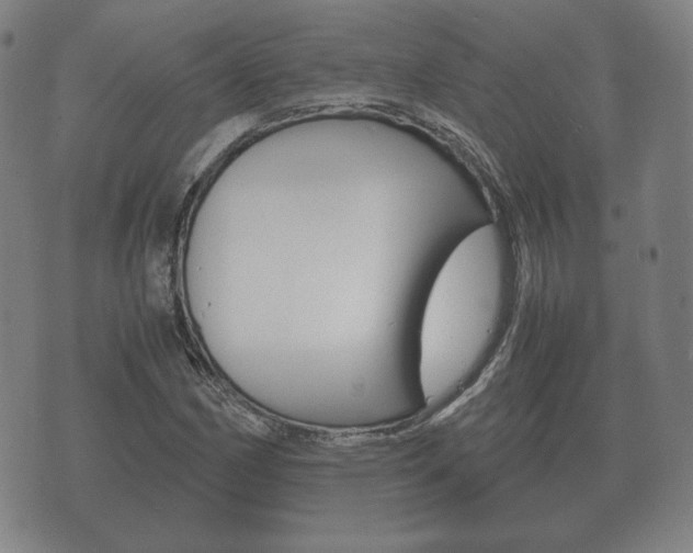 X0000073721162200608031008