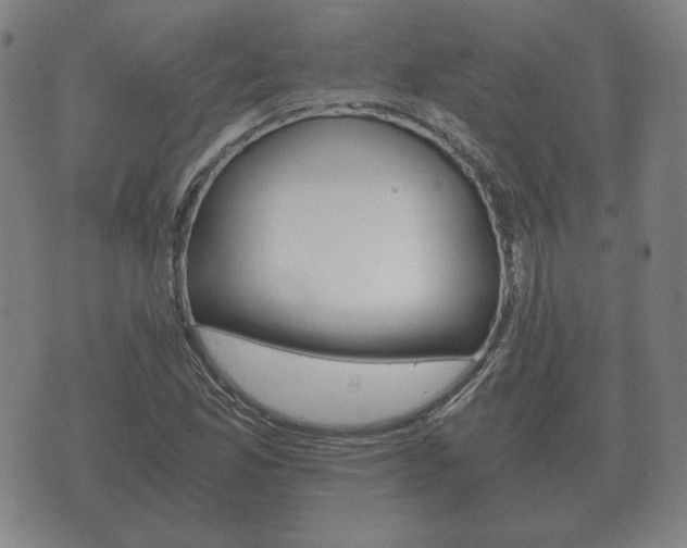 X0000073721165200608031008
