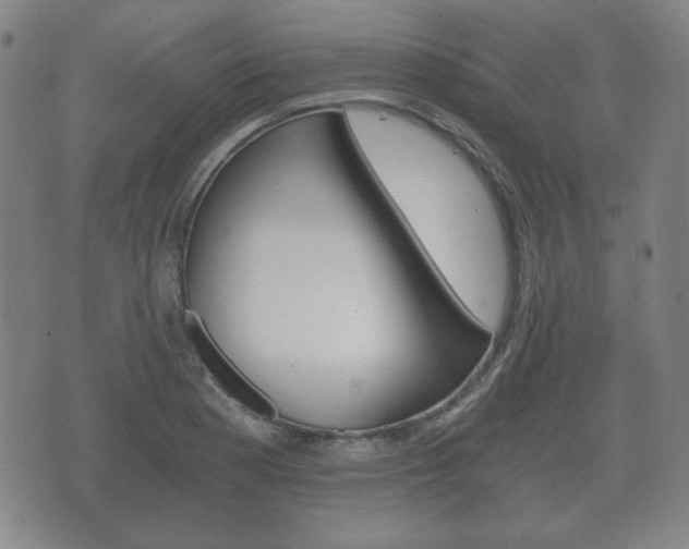 X0000073721177200608031008