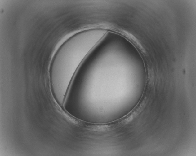 X0000073721184200608031008
