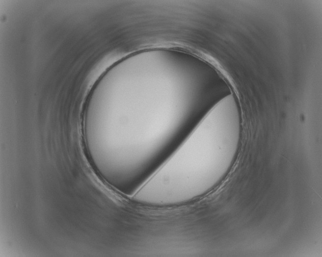 X0000073721187200608031008