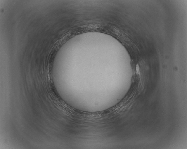 X0000073721203200608031007