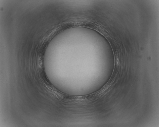 X0000073721204200608031007