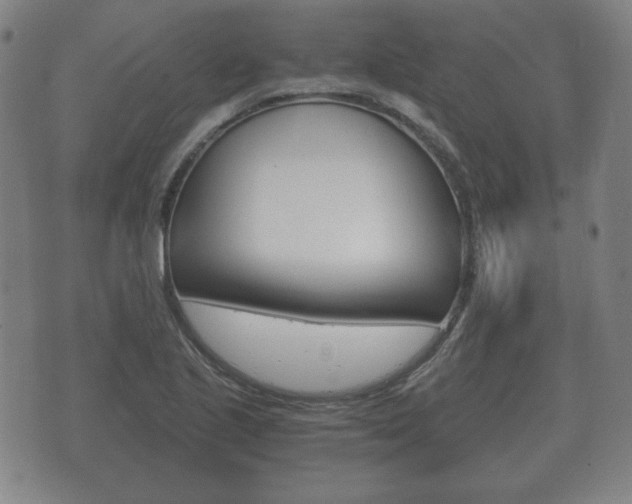X0000073721221200608031007