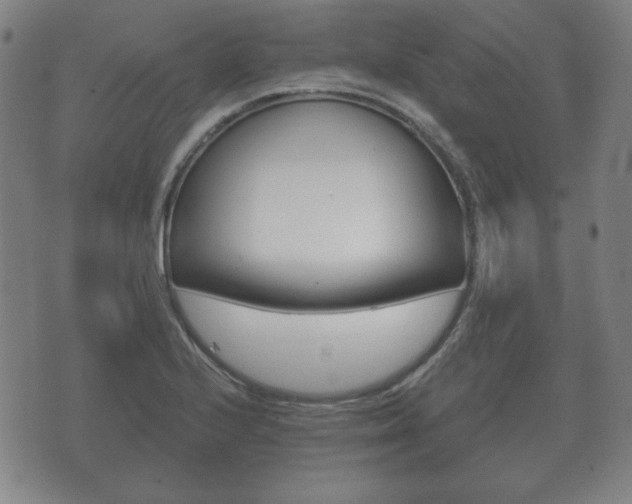 X0000073721224200608031007