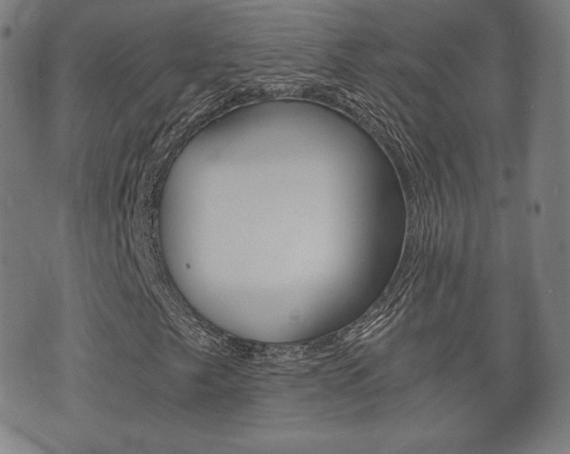 X0000073721249200608031007