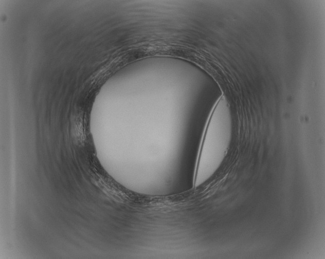 X0000073721250200608031007