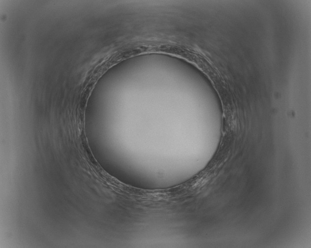 X0000073721253200608031007