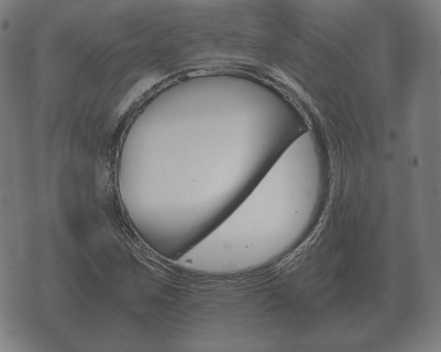 X0000073721259200608031007