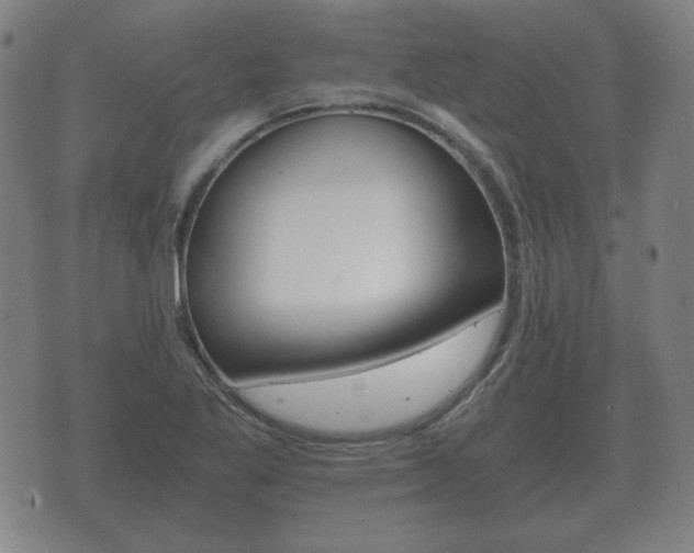 X0000073721269200608031006