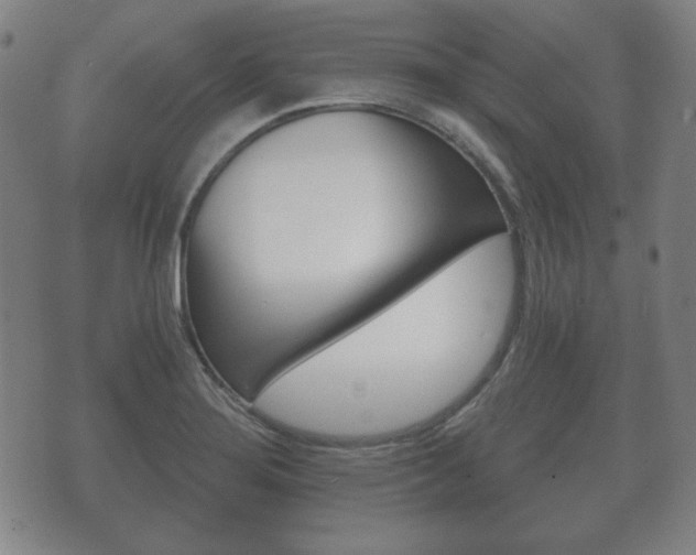 X0000073721276200608031006