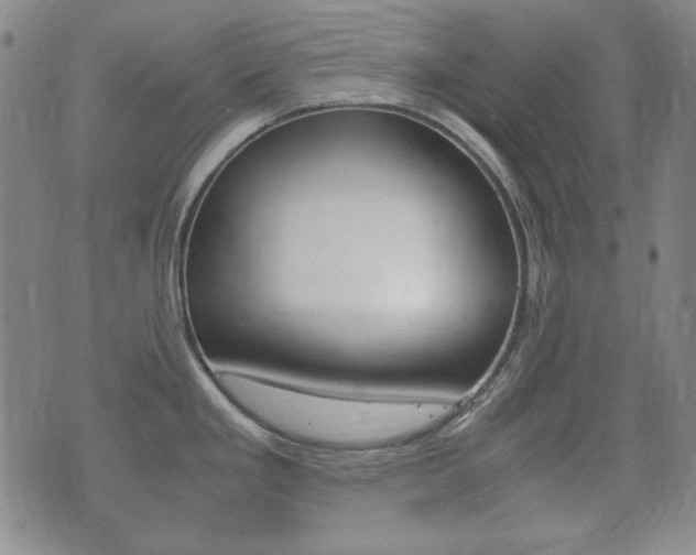 X0000073721293200608031006
