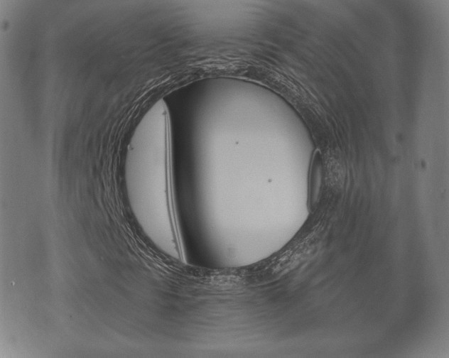 X0000073721297200608031005