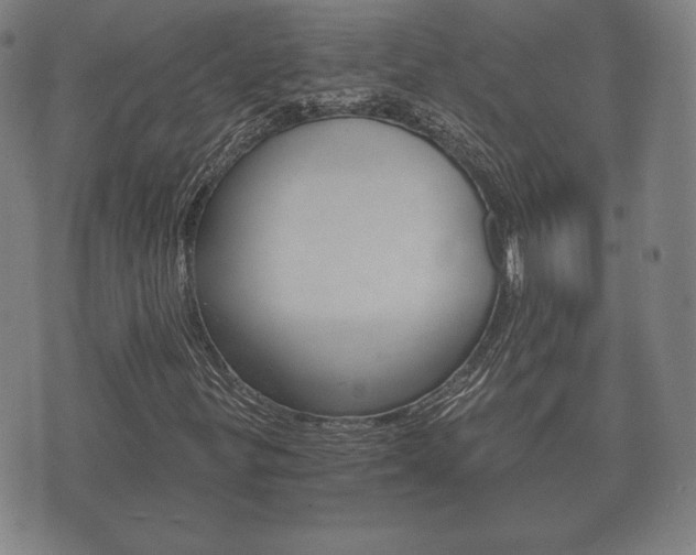 X0000073721299200608031005