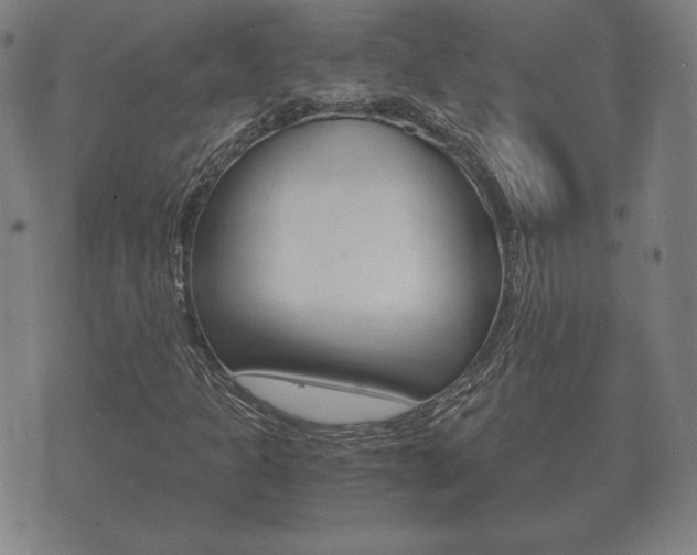 X0000073721301200608031005