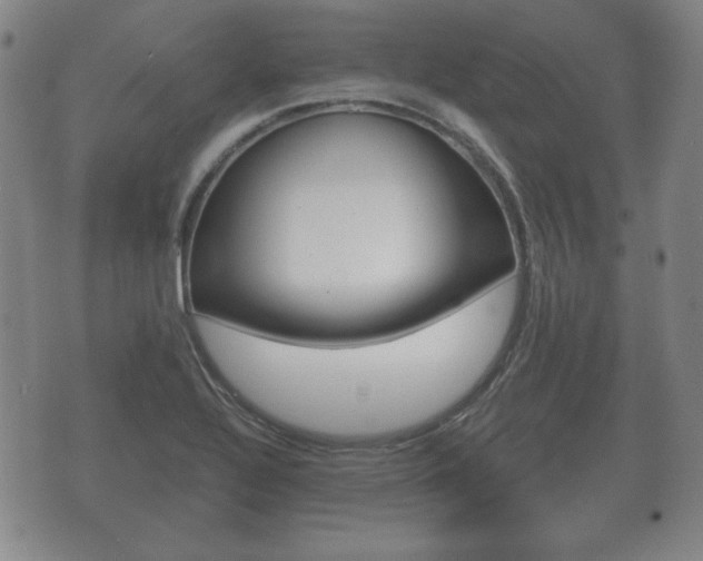 X0000073721320200608031006