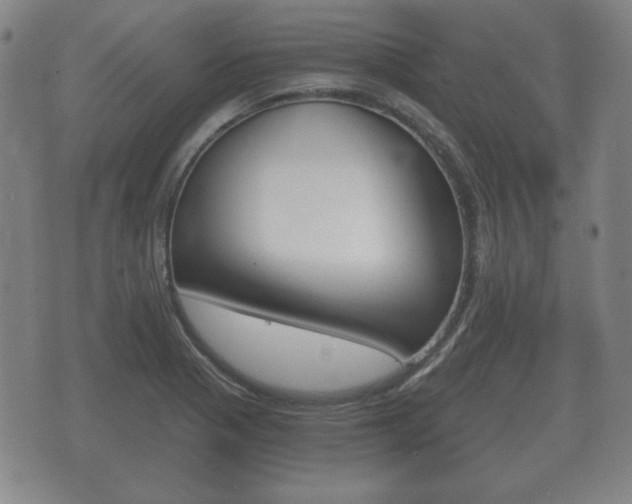 X0000073721321200608031006