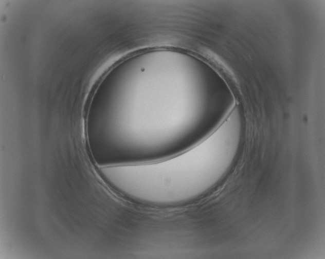 X0000073721324200608031006