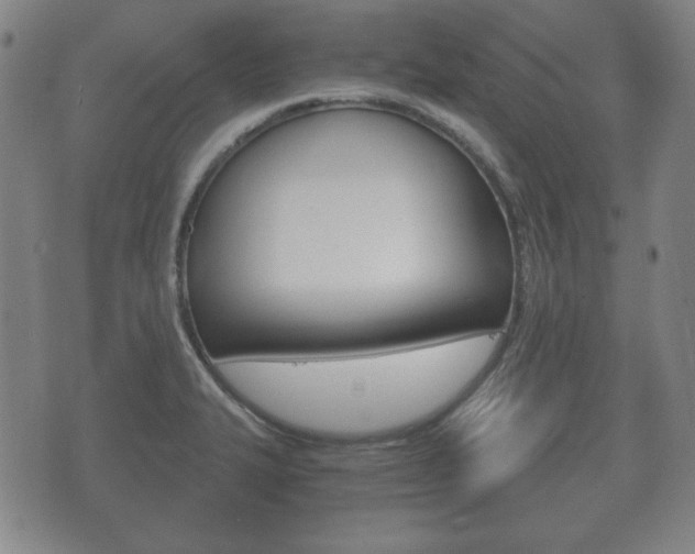 X0000073721327200608031006
