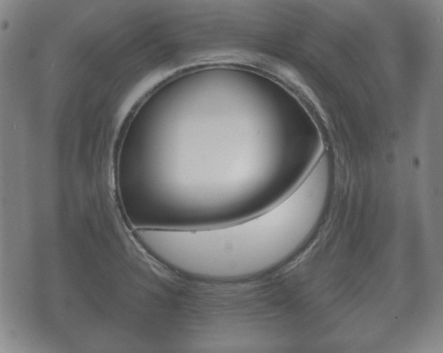 X0000073721328200608031006