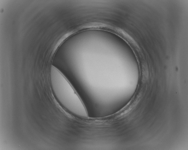 X0000073721329200608031006