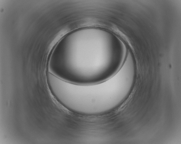 X0000073721330200608031006