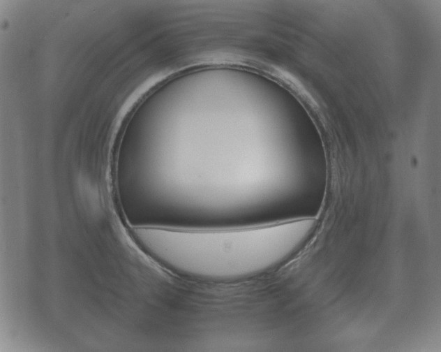 X0000073721331200608031006
