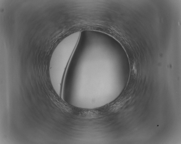 X0000073721348200608031005