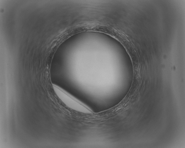 X0000073721349200608031005