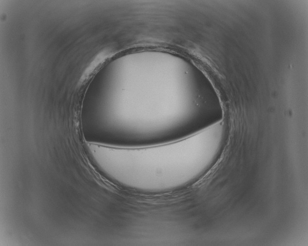 X0000073721355200608031005