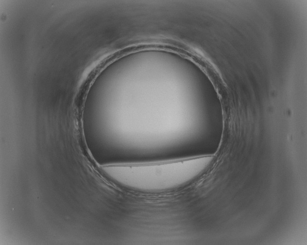 X0000073721360200608031005