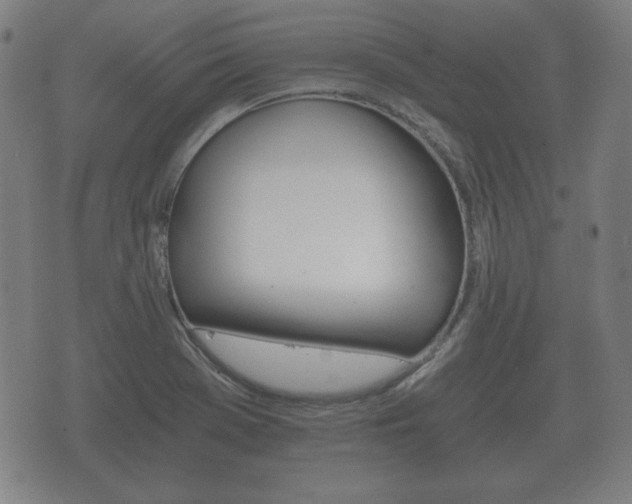 X0000073721369200608031005