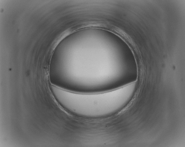 X0000073721377200608031005