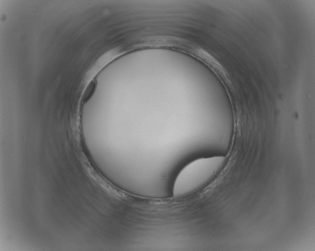 X0000073721378200608031005