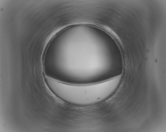 X0000073721380200608031005