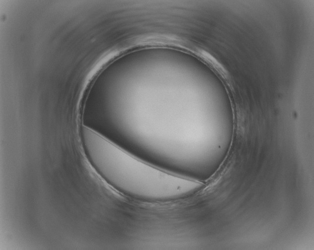 X0000073721384200608031005