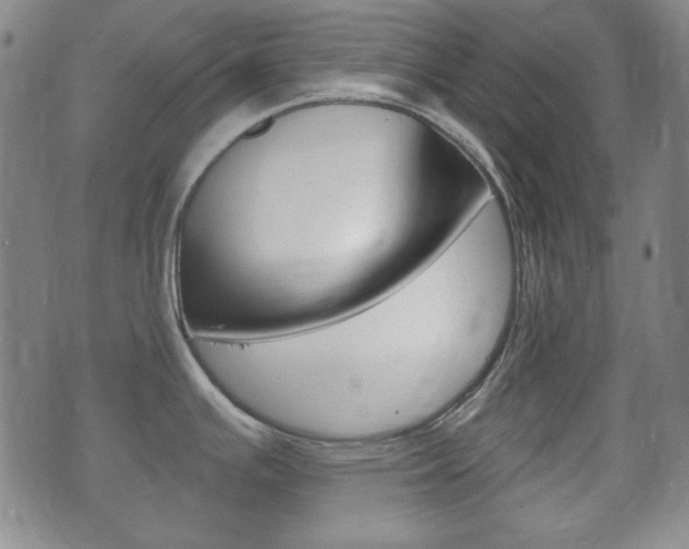 X0000073721391200608031004