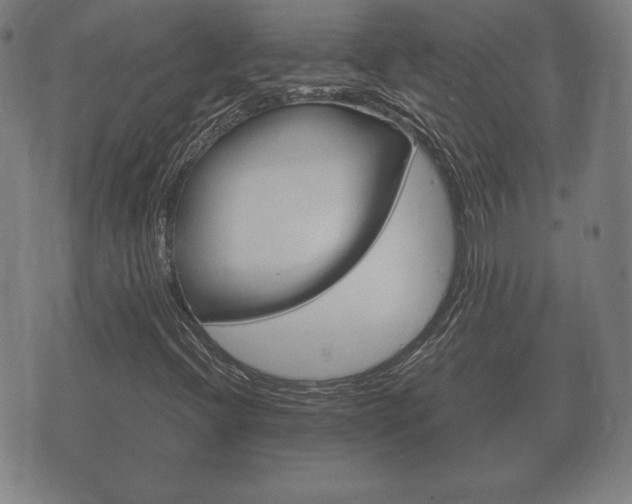 X0000073721396200608031004
