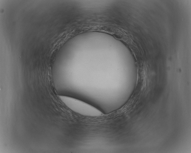 X0000073721397200608031004