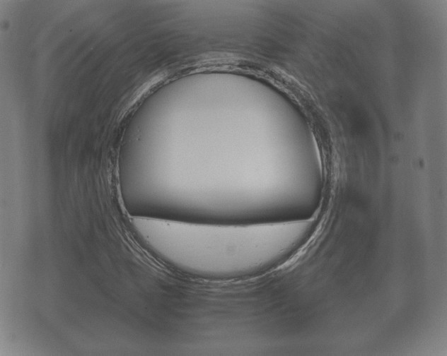 X0000073721401200608031004