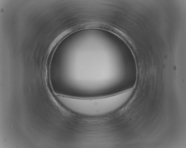 X0000073721418200608031004