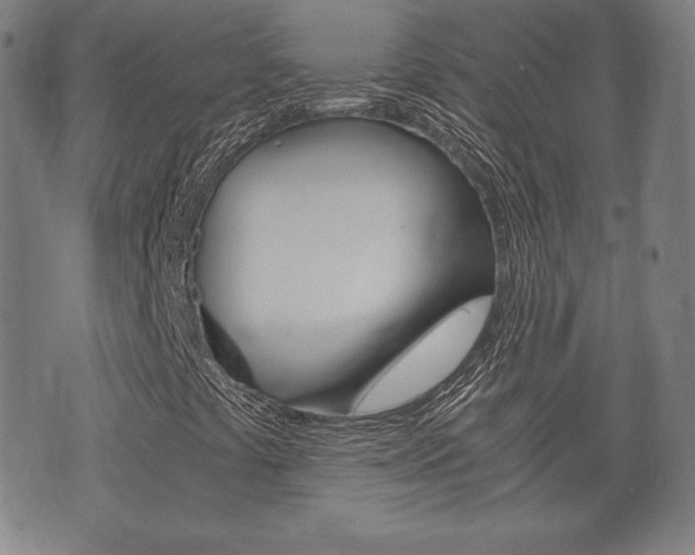 X0000073721441200608031004