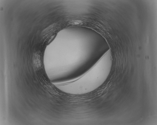 X0000073721442200608031004