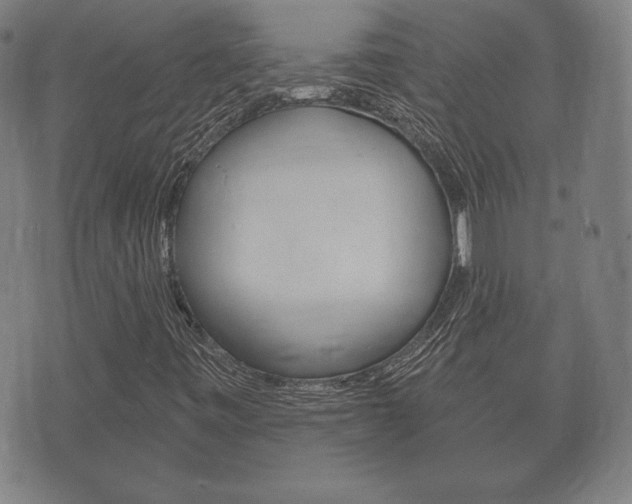 X0000073721443200608031004