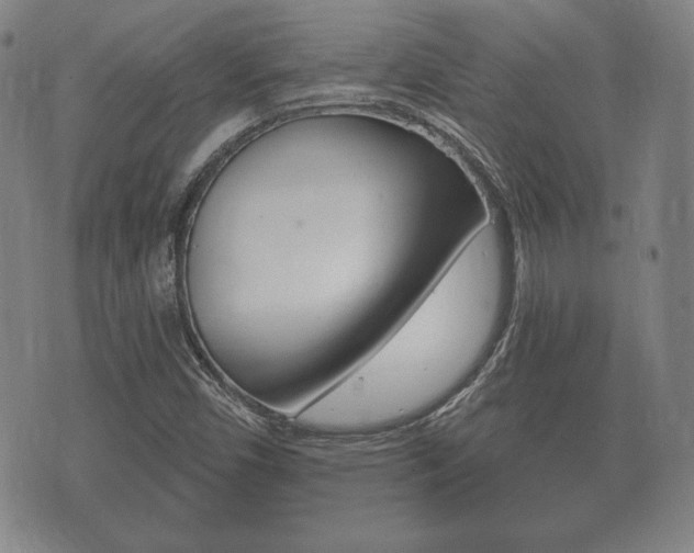 X0000073721450200608031003