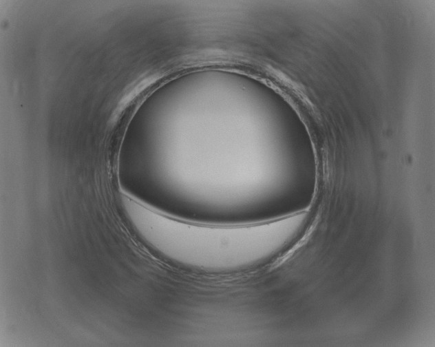 X0000073721453200608031003
