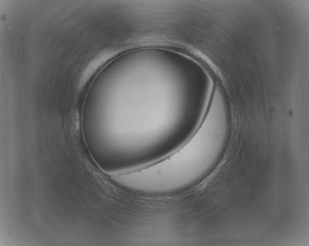 X0000073721461200608031003