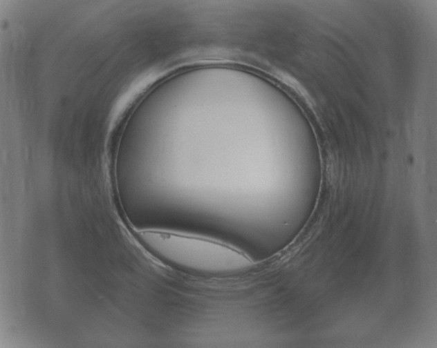 X0000073721464200608031003